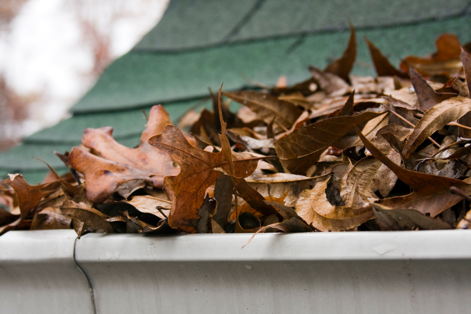 Clogged Gutter Cleaning